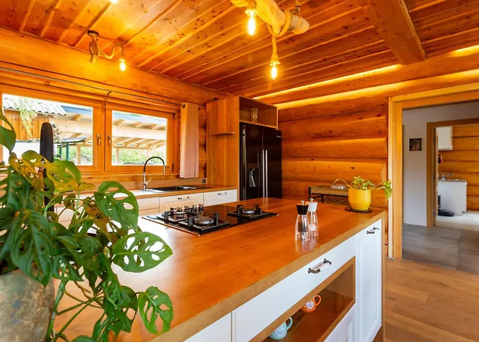 Ferienhaus Harmonia Private Jacuzzi And Pool Retreat Near Rogaska *